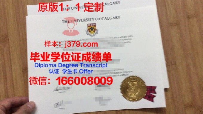 加拿大安省高中毕业证样本(加拿大高中毕业证回国读大学)