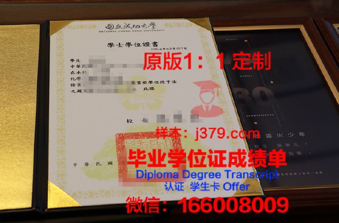 国立成功大学diploma证书
