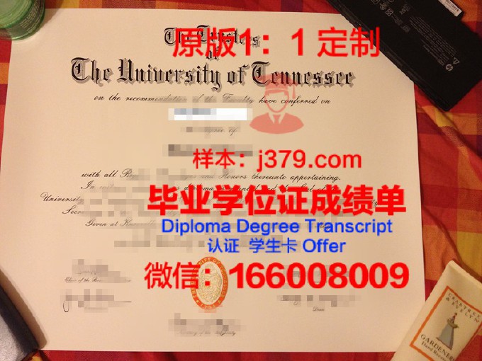 田纳西大学研究生毕业证