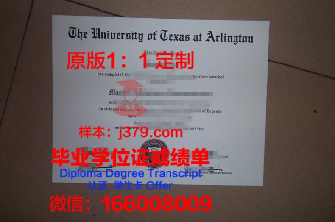 印度理工学院克勒格布尔分校diploma证书