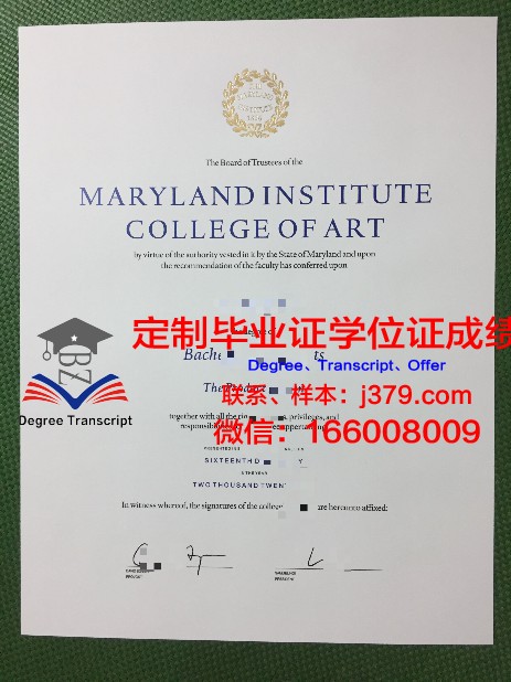 萨尔音乐和戏剧学院文凭(萨尔造型艺术学院)