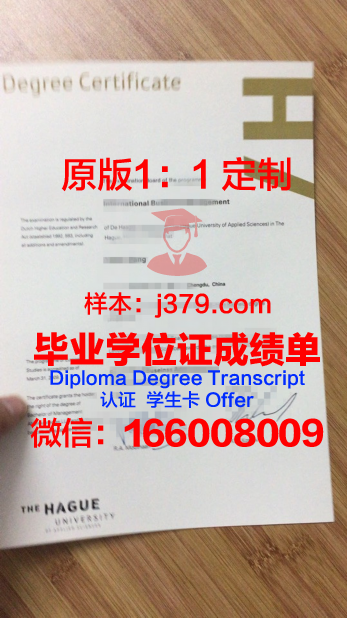 萨塔昆塔应用科学大学证书成绩单(萨塔昆塔应用科技大学qs排名)