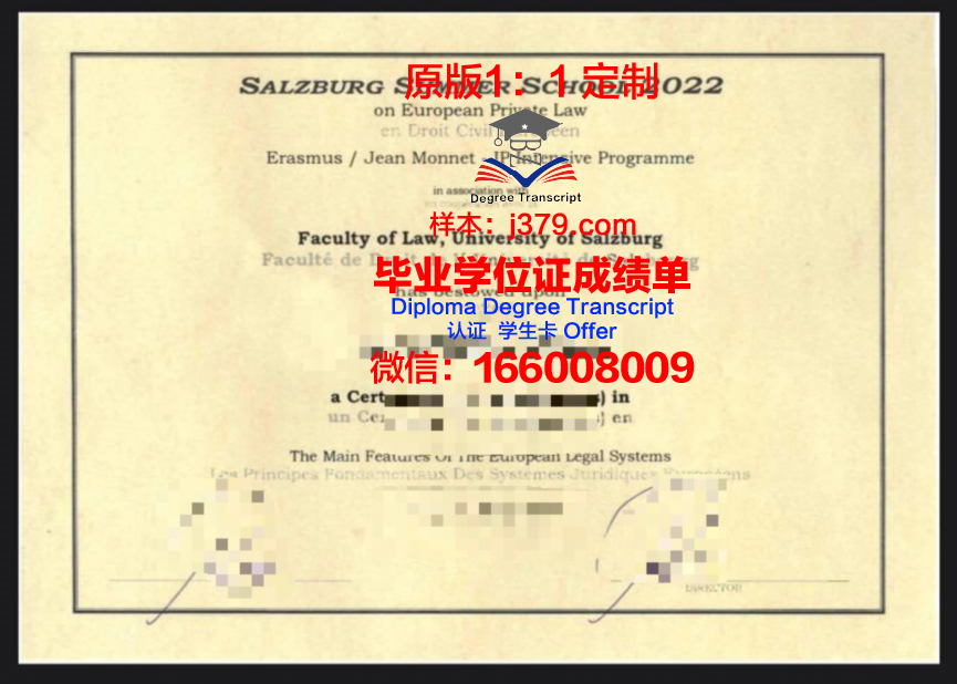 萨尔茨堡大学几年可以毕业证(萨尔茨堡音乐学院官网)