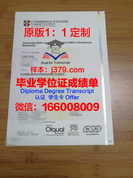 甘地格拉姆乡村学院研究生毕业证书