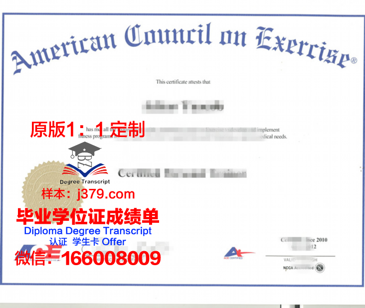 萨拉大毕业证成绩单：一份承载荣誉与回忆的纸