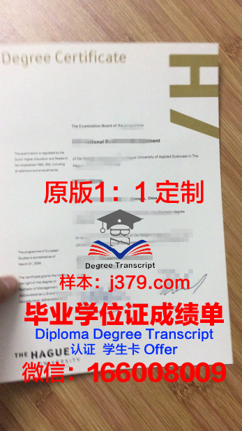 瓦萨应用科学大学研究生毕业证(瓦萨应用科学大学研究生毕业证书)
