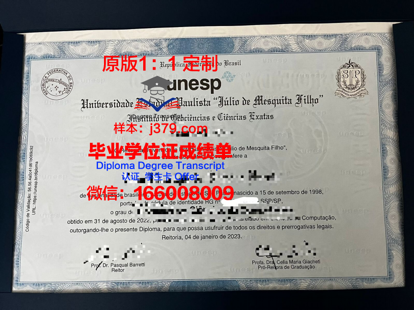 瓦加斯基金会圣保罗工商管理学院毕业证：一份含金量极高的荣誉证书