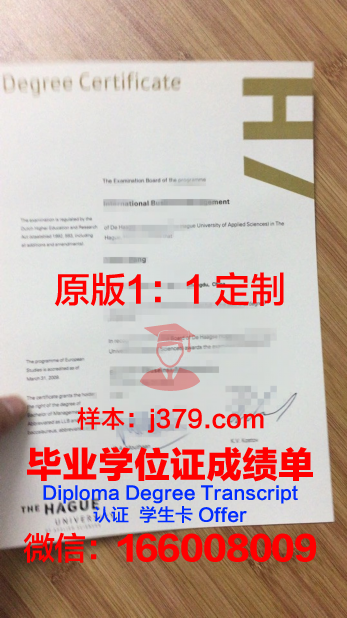 阿纳姆与奈梅亨应用科学大学毕业证尺寸