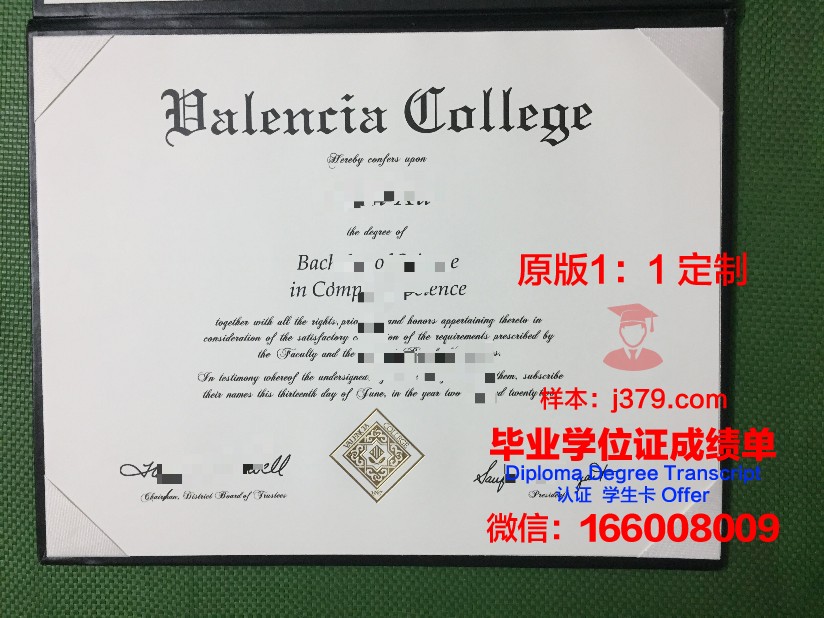 瓦伦西亚理工大学毕业证外壳(瓦伦西亚理工大学qs)