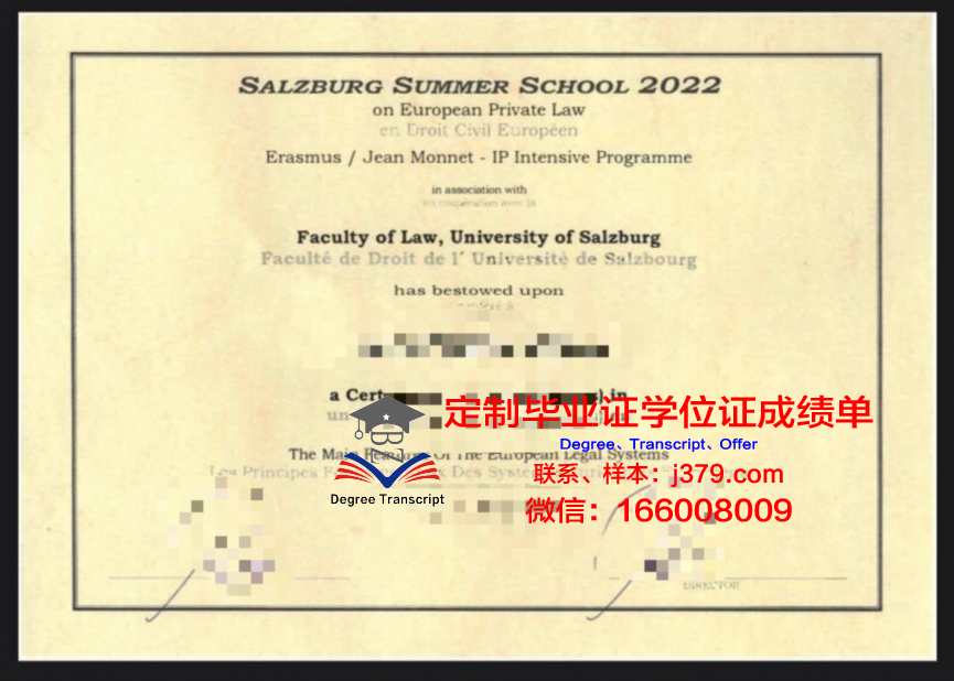 萨尔茨堡高等专业学院毕业证壳子(萨尔茨堡应用科技大学)