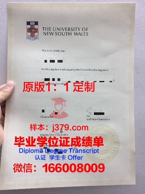 萨戈达大学毕业证书图片(萨拉戈萨大学好不好)