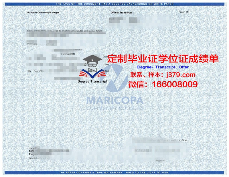 奥尔良高等艺术与设计学院硕士毕业证书样本(奥尔良综合理工学院)