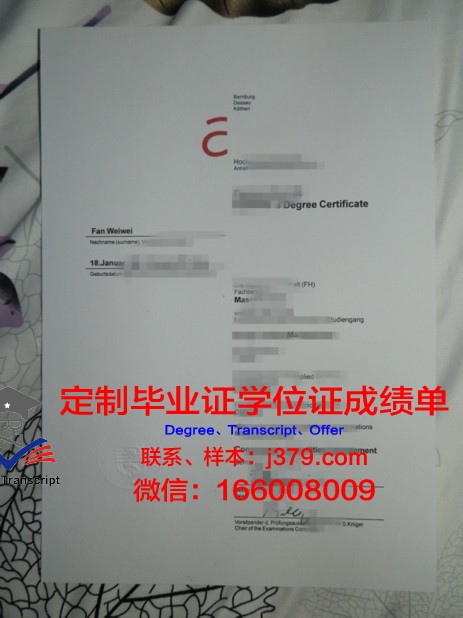 奥芬堡应用技术大学学历证书(德国奥芬堡应用技术大学)