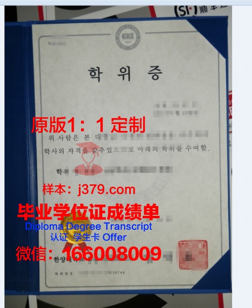 萨尔音乐和戏剧学院硕士学位证：开启艺术生涯的黄金通行证