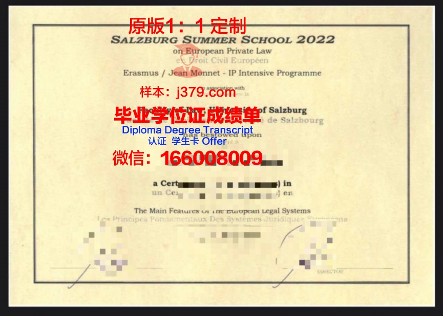 萨尔茨堡高等专业学院毕业证壳子(萨尔茨堡应用科技大学)