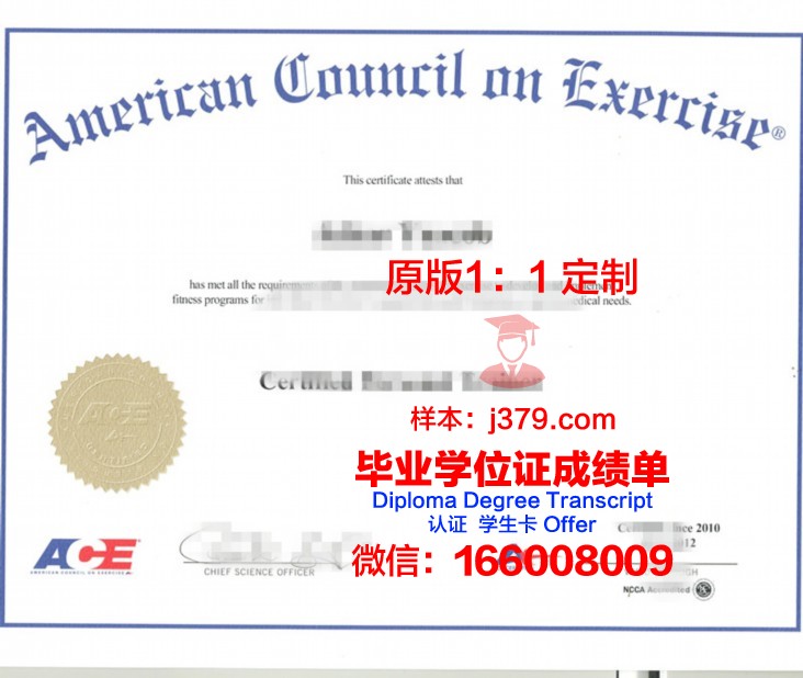 萨拉大毕业证成绩单：一份承载荣誉与回忆的纸
