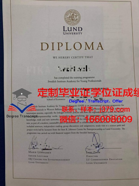 瑞典中部大学毕业证书图片(瑞典中部大学毕业证书图片高清)