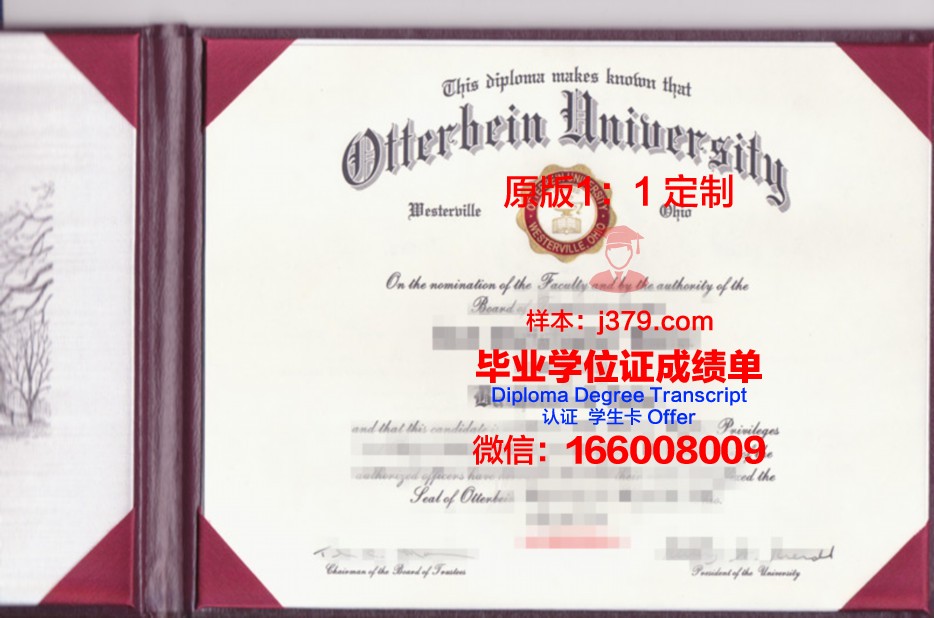 奥特本大学学位成绩单定制：打造完美的学术简历