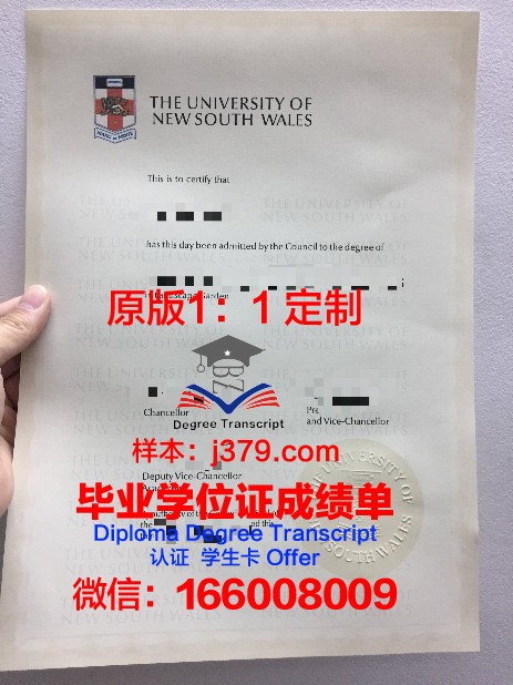 萨尔音乐和戏剧学院毕业证成绩单：承载荣誉与梦想的证书