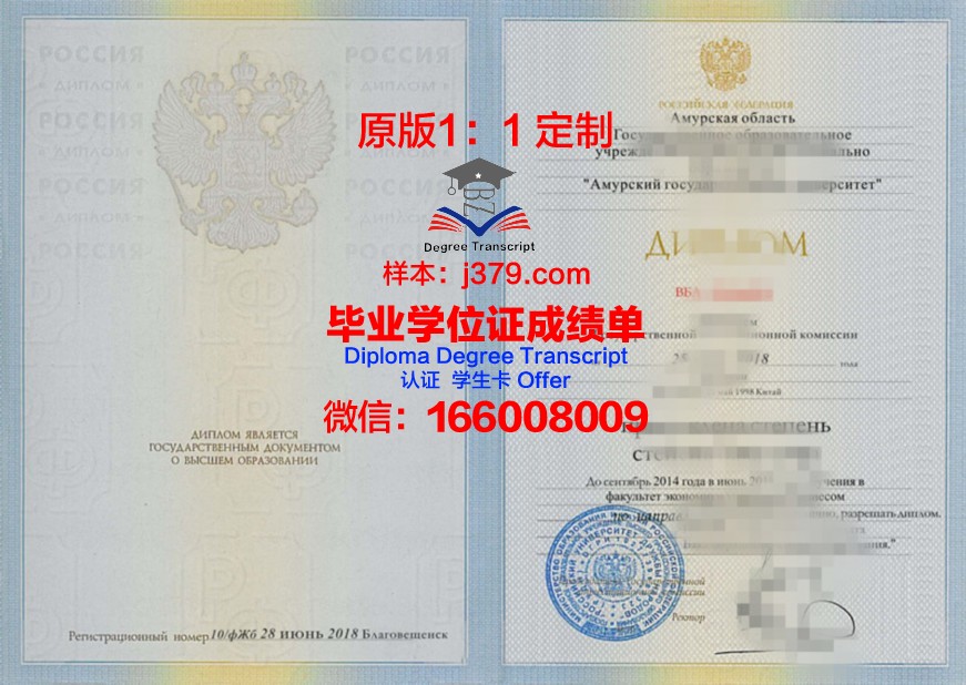 阿穆尔国立医学院学位成绩单定制：专业与严谨的结晶