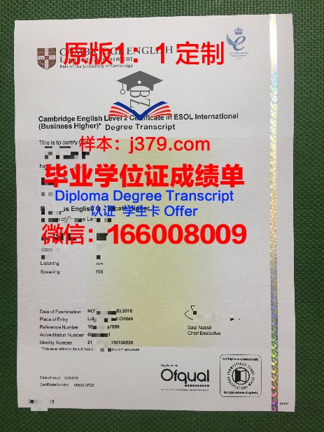 瓦萨大学研究生毕业证书(瓦萨大学研究生毕业证书样本)