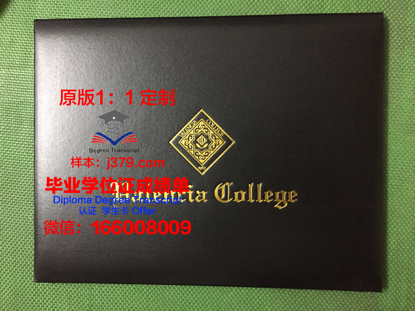 瓦伦西亚欧洲大学博士毕业证(瓦伦西亚大学专升硕专业)