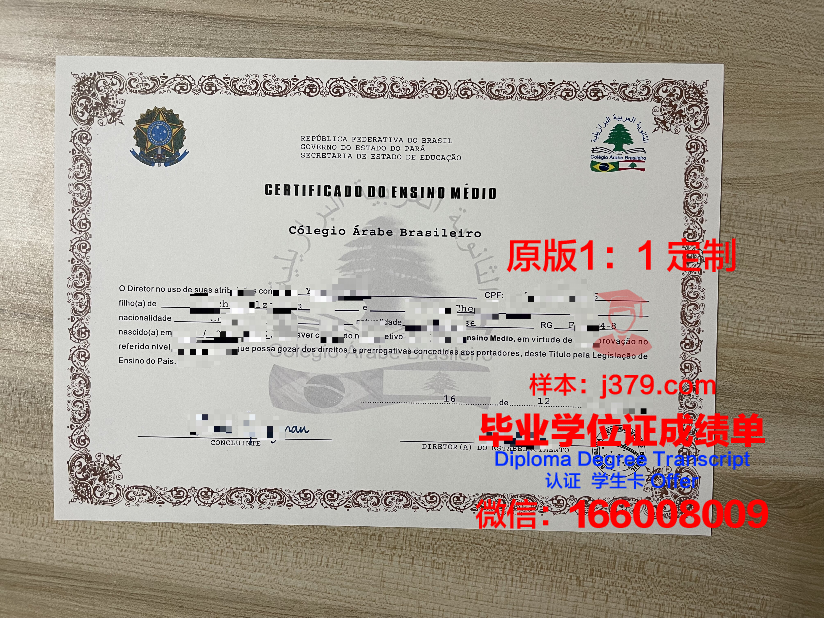 瓦加斯基金会巴西公共与企业管理学院毕业证原版