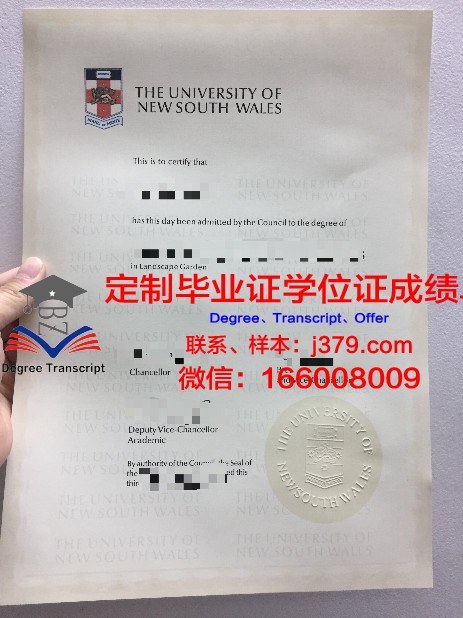 阿米大毕业证：一张穿越时空的文凭
