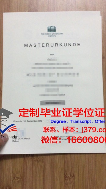 琴希托霍瓦工业大学毕业文凭