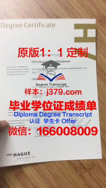 奥卢应用科学大学毕业证图片(奥卢大学申请条件)