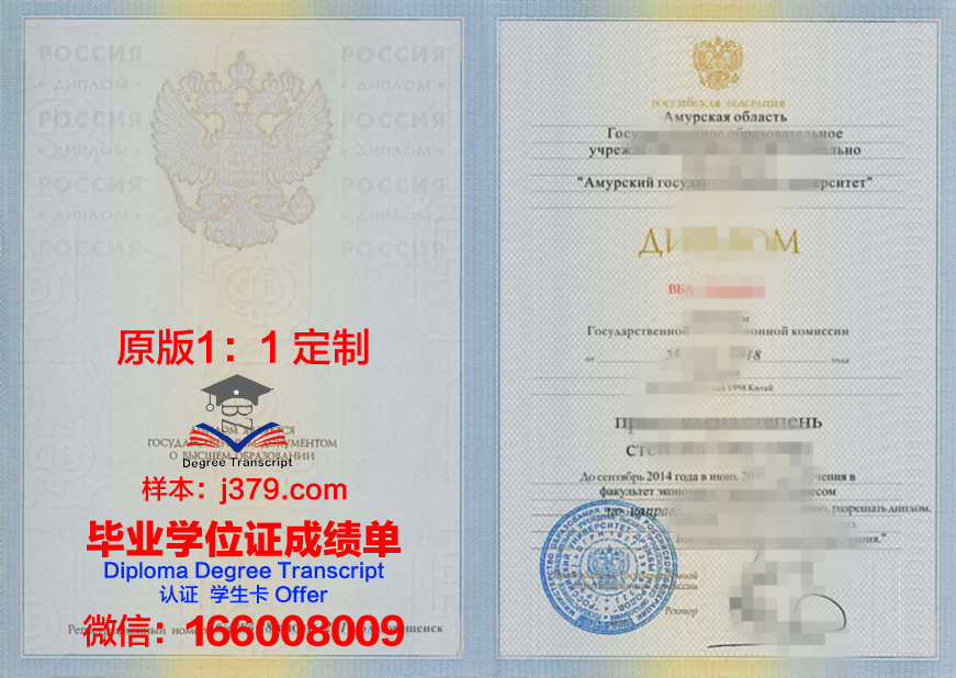 阿穆尔国立医学院研究生毕业证书(阿穆尔国立大学研究生)