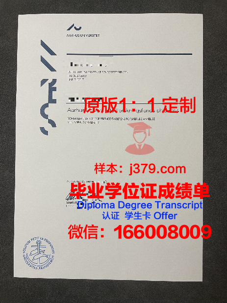 奥胡斯建筑学院学位成绩单定制：开启国际建筑教育新篇章
