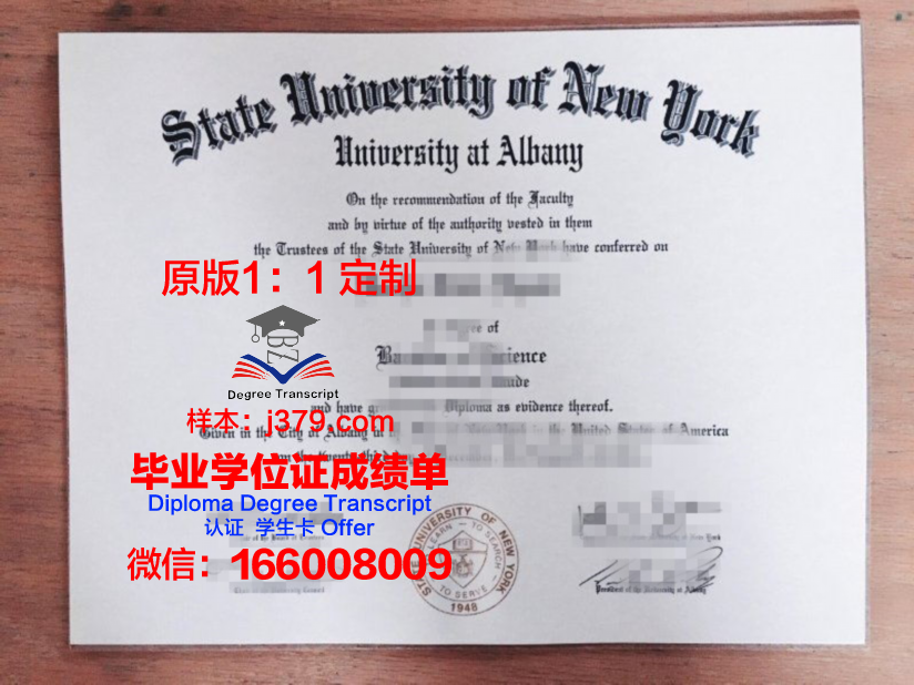 奥尔巴尼法学院毕业证尺寸(奥尔巴尼大学世界排名)