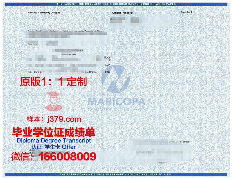 阿斯特拉罕国立大学成绩单：一份国际认可的学术证明