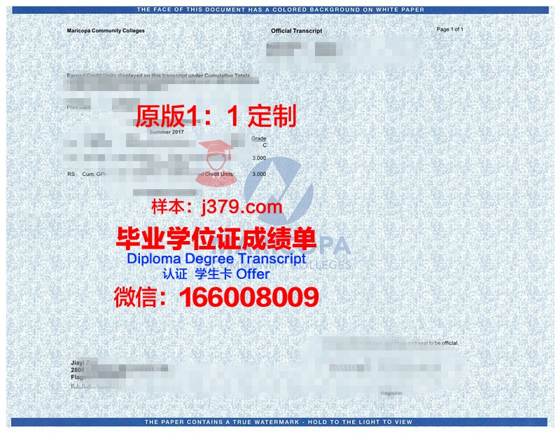 甘教成绩单：记录成长足迹，见证教育成果