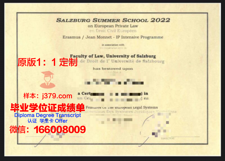 萨尔茨堡高等专业学院毕业学位
