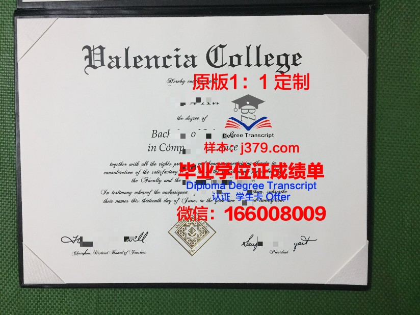 瓦伦西亚大学毕业证书原件(瓦伦西亚大学毕业证书原件图)
